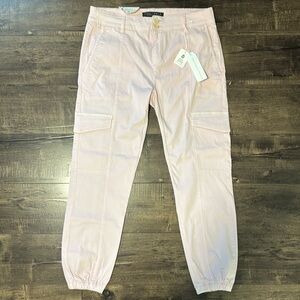 Sanctuary Standard Cargo Pants Size 29